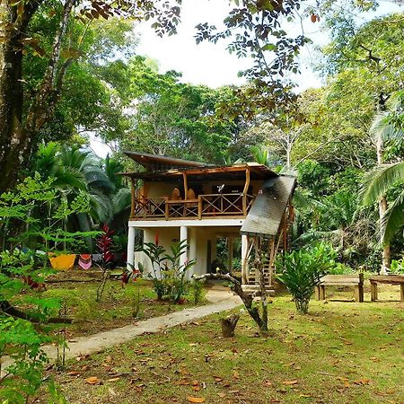Green Corner Cahuita Exterior foto