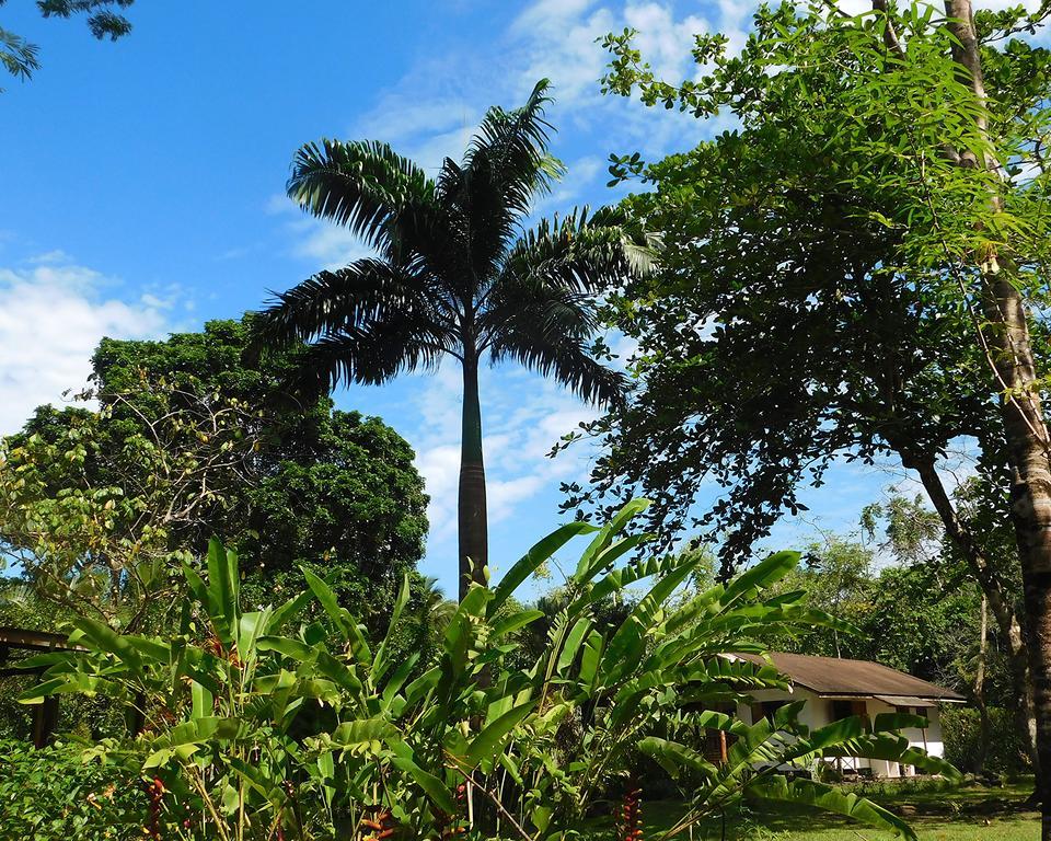 Green Corner Cahuita Exterior foto
