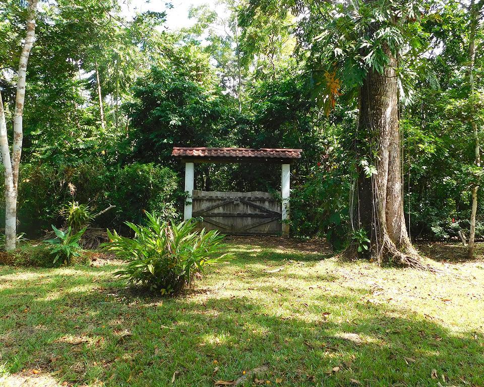Green Corner Cahuita Exterior foto