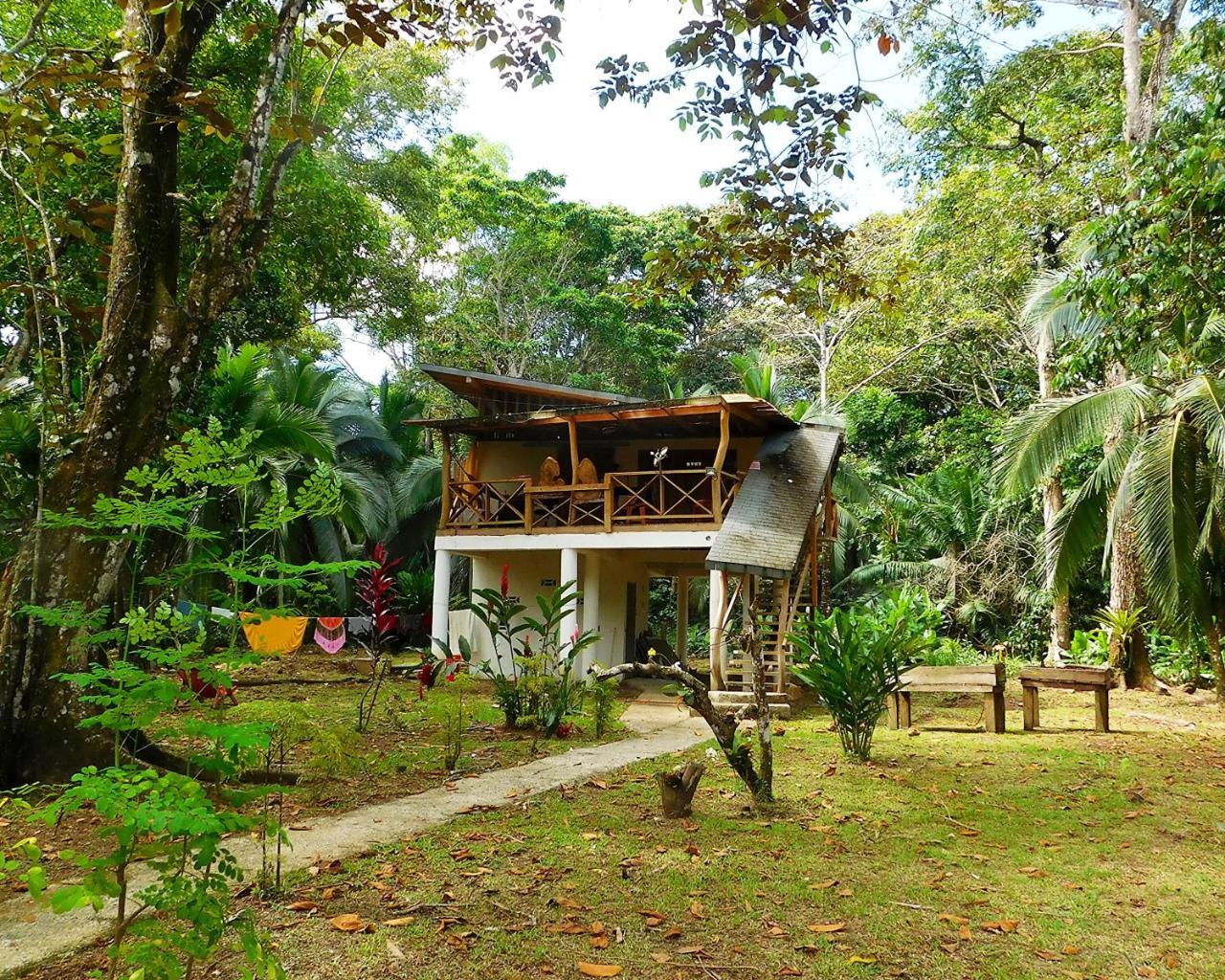 Green Corner Cahuita Exterior foto